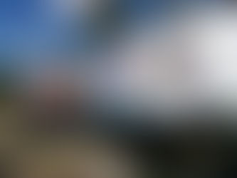 Rotulaciones de Camiones de Flota: Descubre el Vinil Arlon 4600