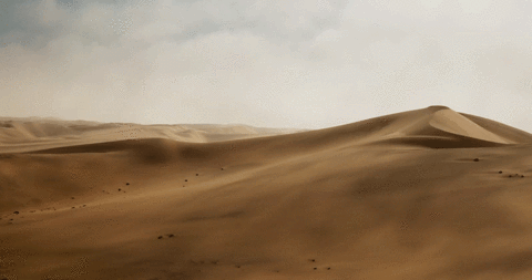 1.gif