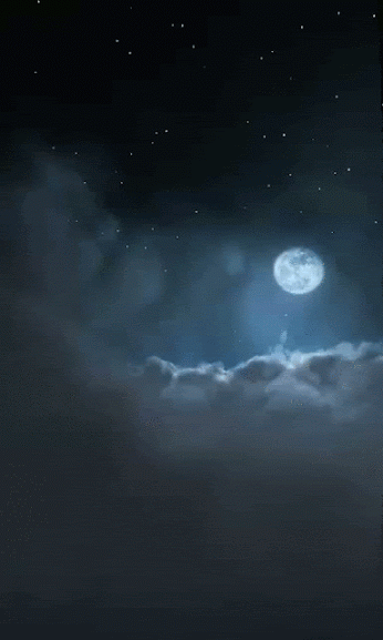 v.gif