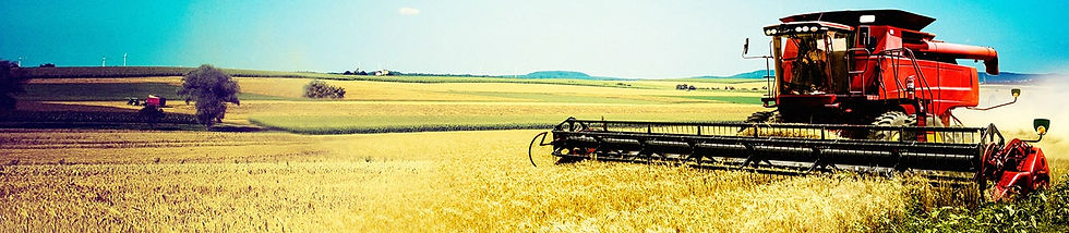Messon_Moisson72-min.jpg