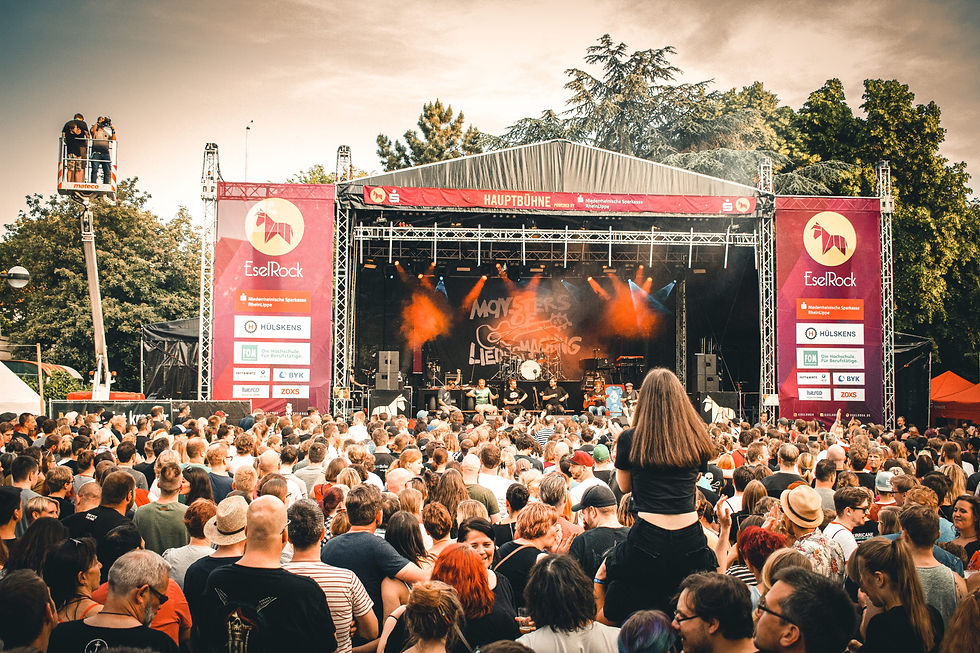 Werde Teil der Eselrock-Crew: Unsere große Kreativ-Werkstatt! (Termin 1)