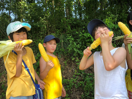 夏休みの放課後寺子屋みよし(8/5〜6)