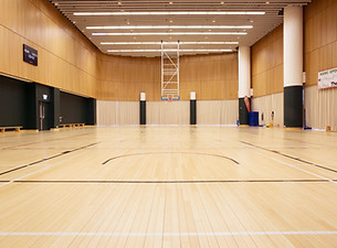 HSMC_sport flooring 14.jpg