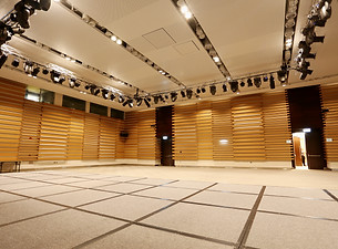 HSMC_wall strip 29.JPG