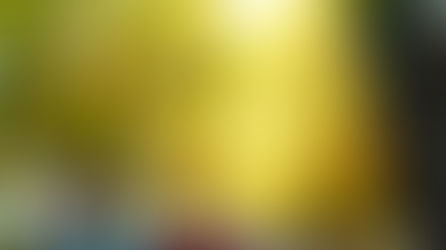 Warum hast du dich für Somatic Experience (SE) entschieden? 