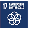 SDG 17.png