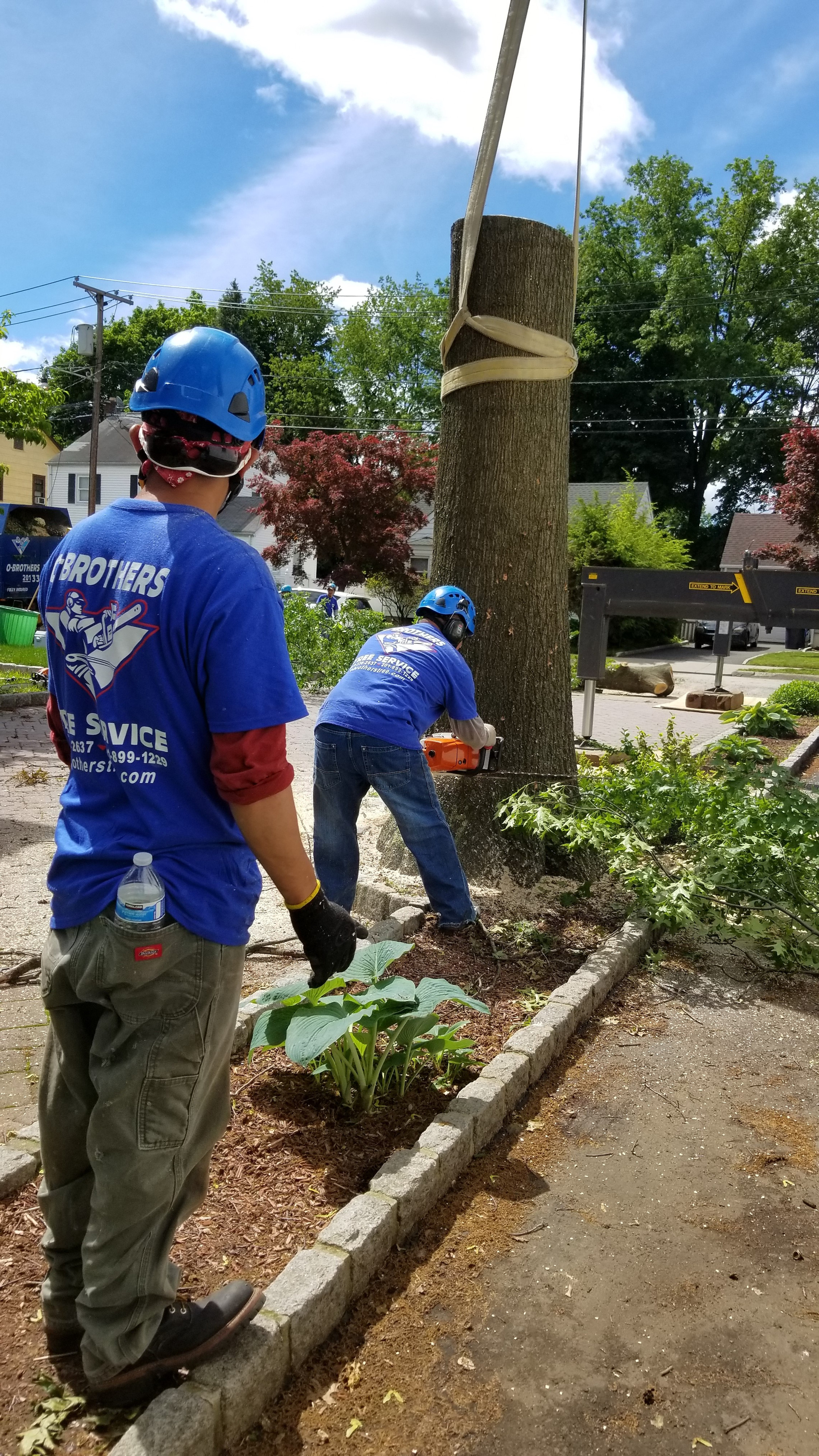 Bergen County O'brothers tree service fully insured and ...