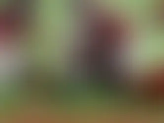 The Agony of Almost: Remembering Some of the Most Devastating Collapses in Sports History