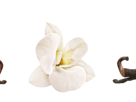 Vanillemousse