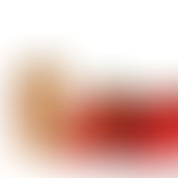 Erdbeere-Champagner 🥂 Sorbet