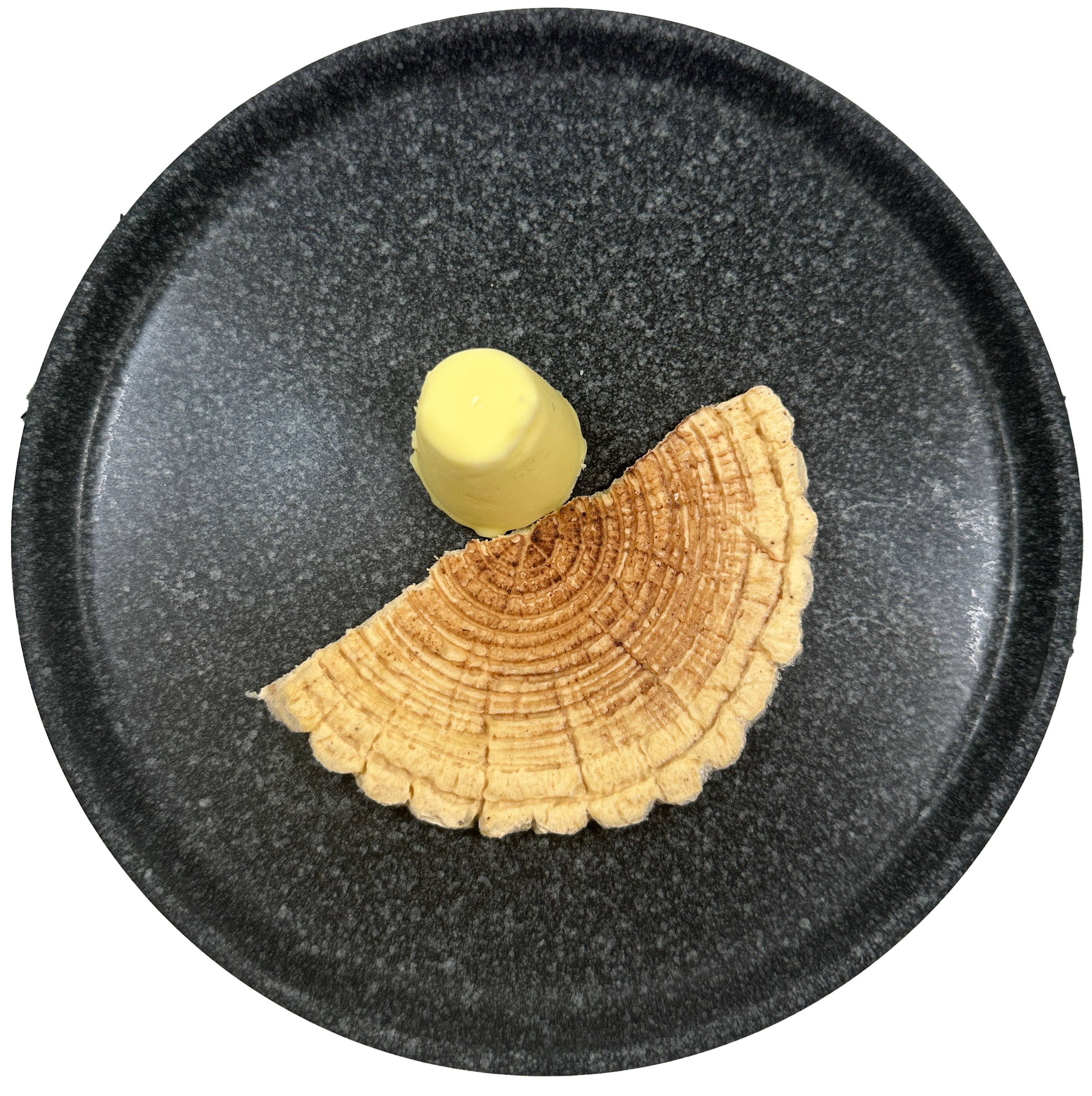 Pilzstiel und Holzscheibe platzieren
