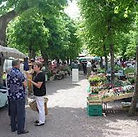 téléchargement (13).jpg