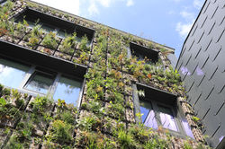 Murvert-LouiseCharlier8