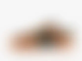 This Week's Must-Have Sneakers: Dunk Low 'Ceramic' & Air Jordan 12 'Black and Wolf Grey