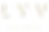 LYV Full Yellow no back_edited.png