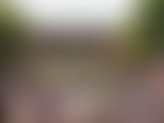 Falcon Heights to Begin Charging for Street Parking During Minnesota State Fair