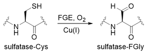 Picture9.png