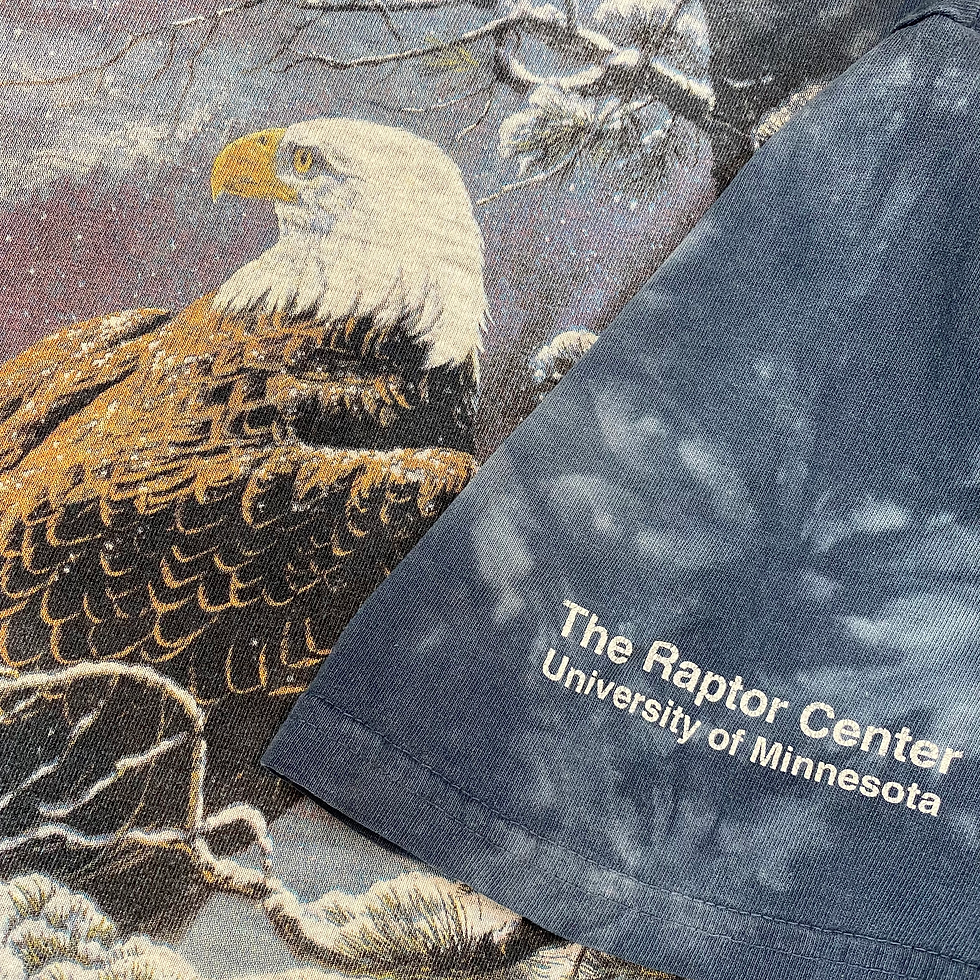 Thumbnail: 90s The Mountain Eagle T-Shirt Size XL