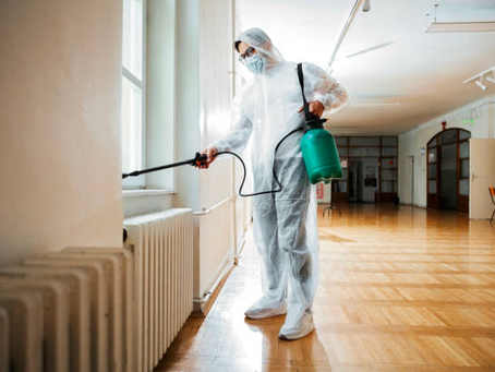 pest-control service in Edmonton