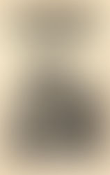 Vol. 19 – A Description of Key West on Christmas Eve, 1873