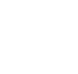 icon line rebusiness white_edited.png