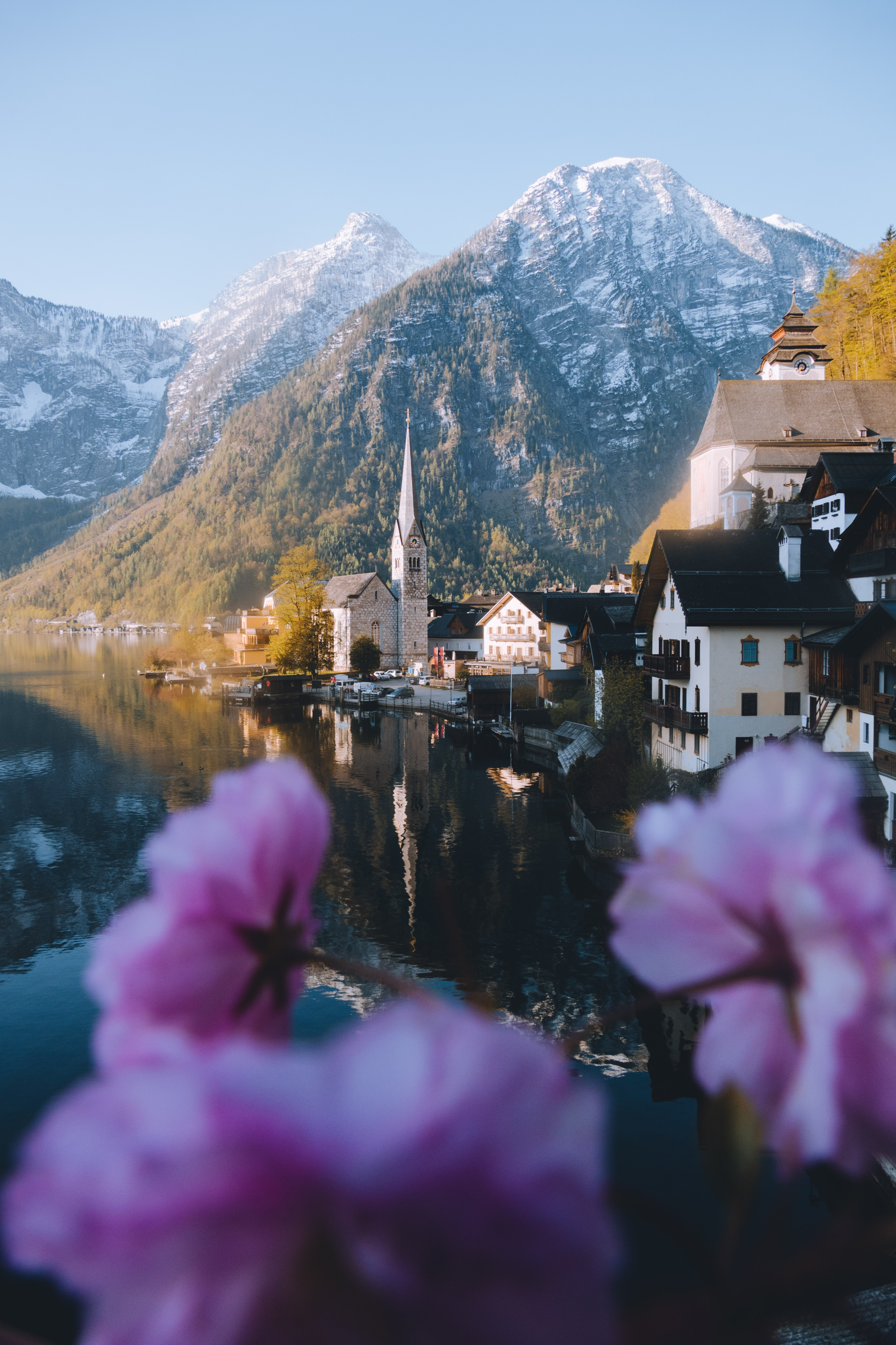 NORTHERNELG PRESET PACK 2 43a255 ee0a8e9a6de2499d8dd7d4c2a5855a18~mv2 d 3604 5406 s 4 2