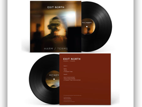 Exit North 'Harm' vinyl EP from Burning Shed shipping worldwide