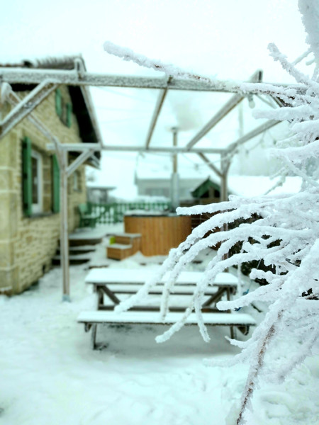 Sous la neige