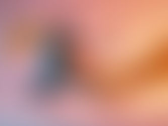 Behind The Scenes: How Movement Without Borders Came to Life