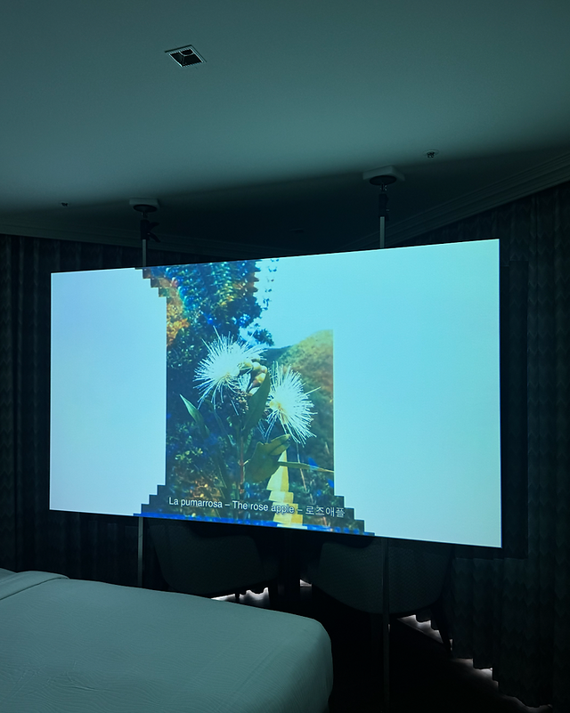 A video is projected onto a screen in a dimly lit hotel room, creating an intimate and contemplative viewing space