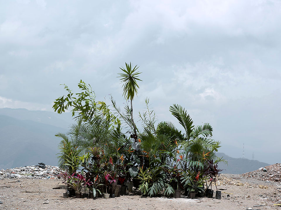 Oasis, 2009