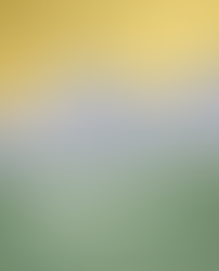 The Sacred Mountains of Suwon Lee