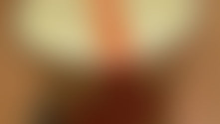 ベスト・オブ・プリン