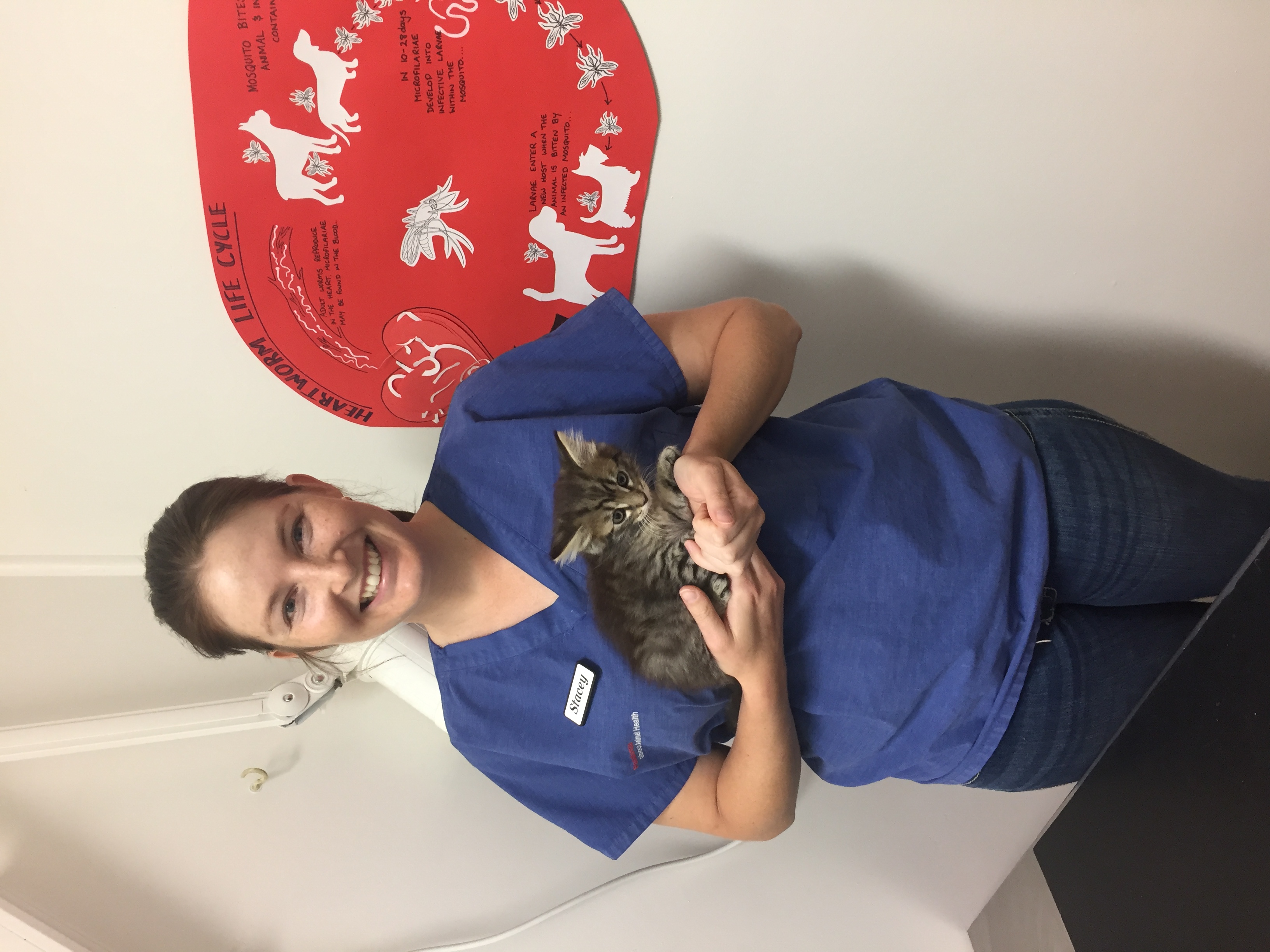 Dr Stacey Crawford BVSc