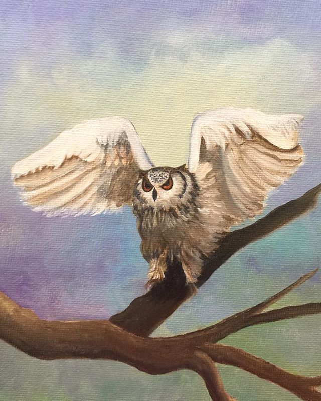 _Wise Guy_ 6x8 oil #oilpainting #oilpainter #painting #hoot #wiseguy #wise #nerdoftheforrest #arti