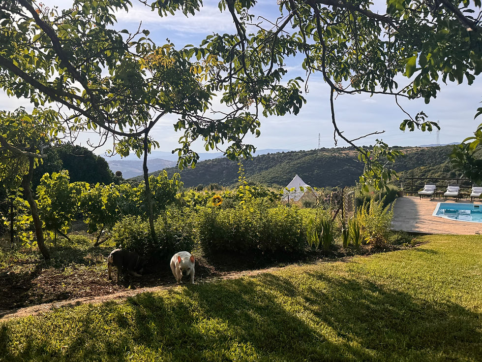 view from hammock chair at La Fuente de Casares