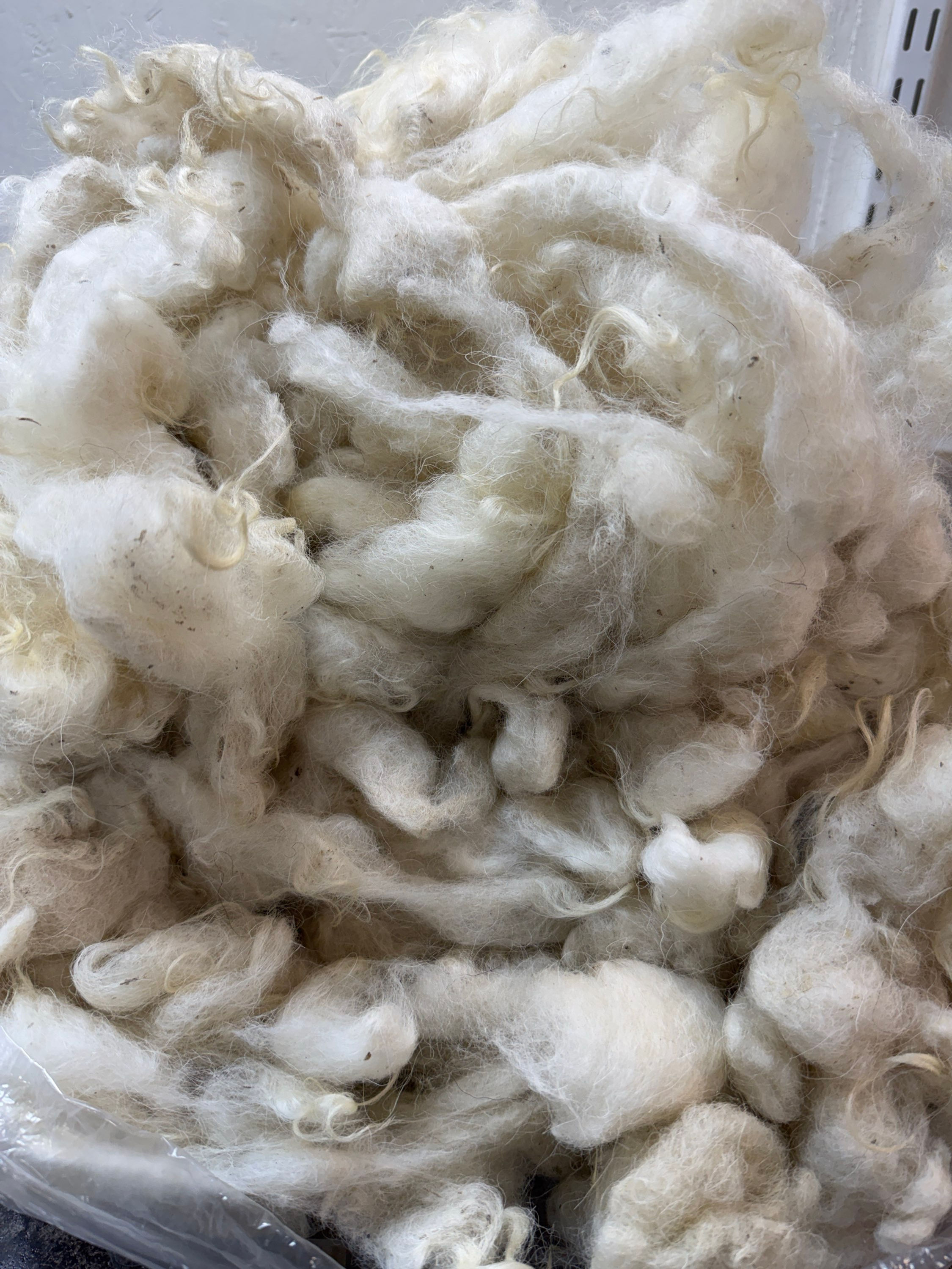 Washed unprocessed wool - white
