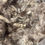 Thumbnail: Wool Cloud - Icelandic wool Lot 2470