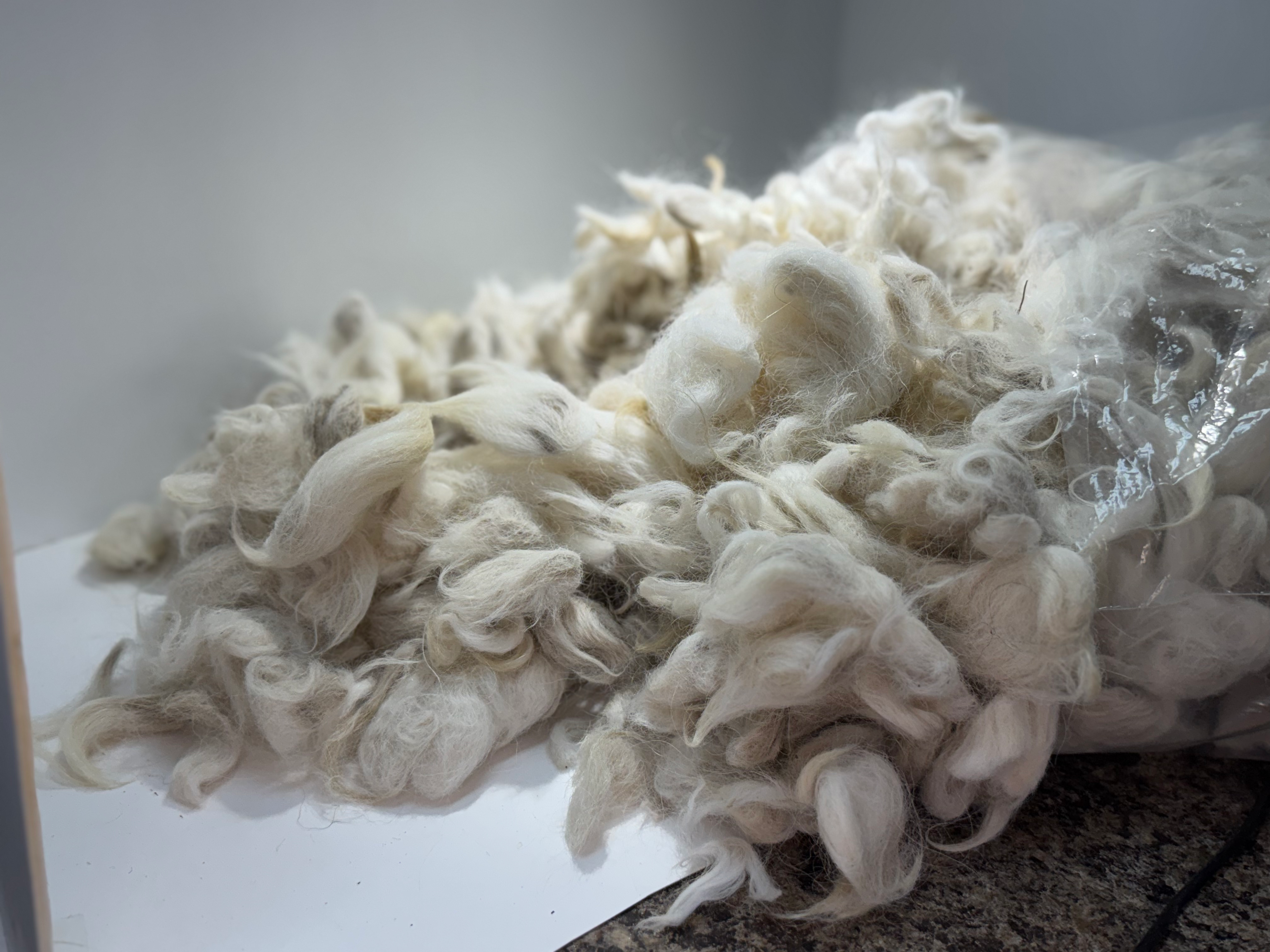 Huacaya Alpaca - Raw fiber 2 pounds 14 ounces lot 2600