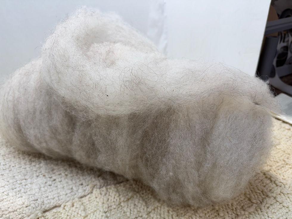 Thumbnail: Icelandic Wool Roving Bump – Three shearing mix