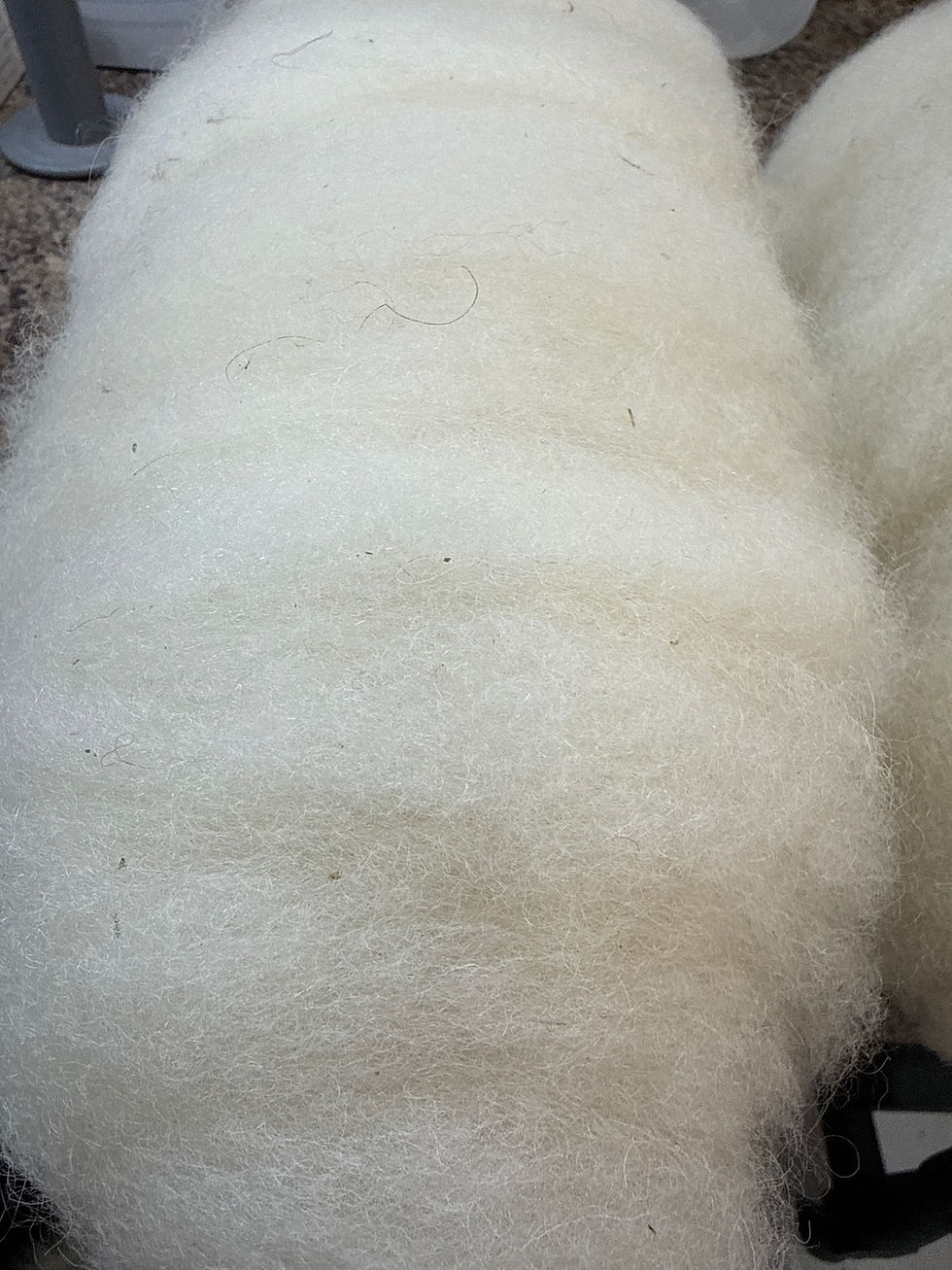 Thumbnail: Icelandic Wool Roving Bump