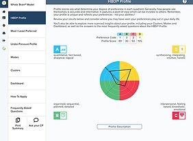 HBDI-Profile-Overview.png