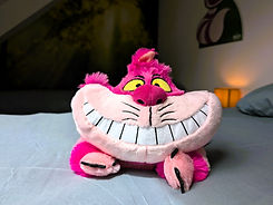 Chambre Chat (8).jpg