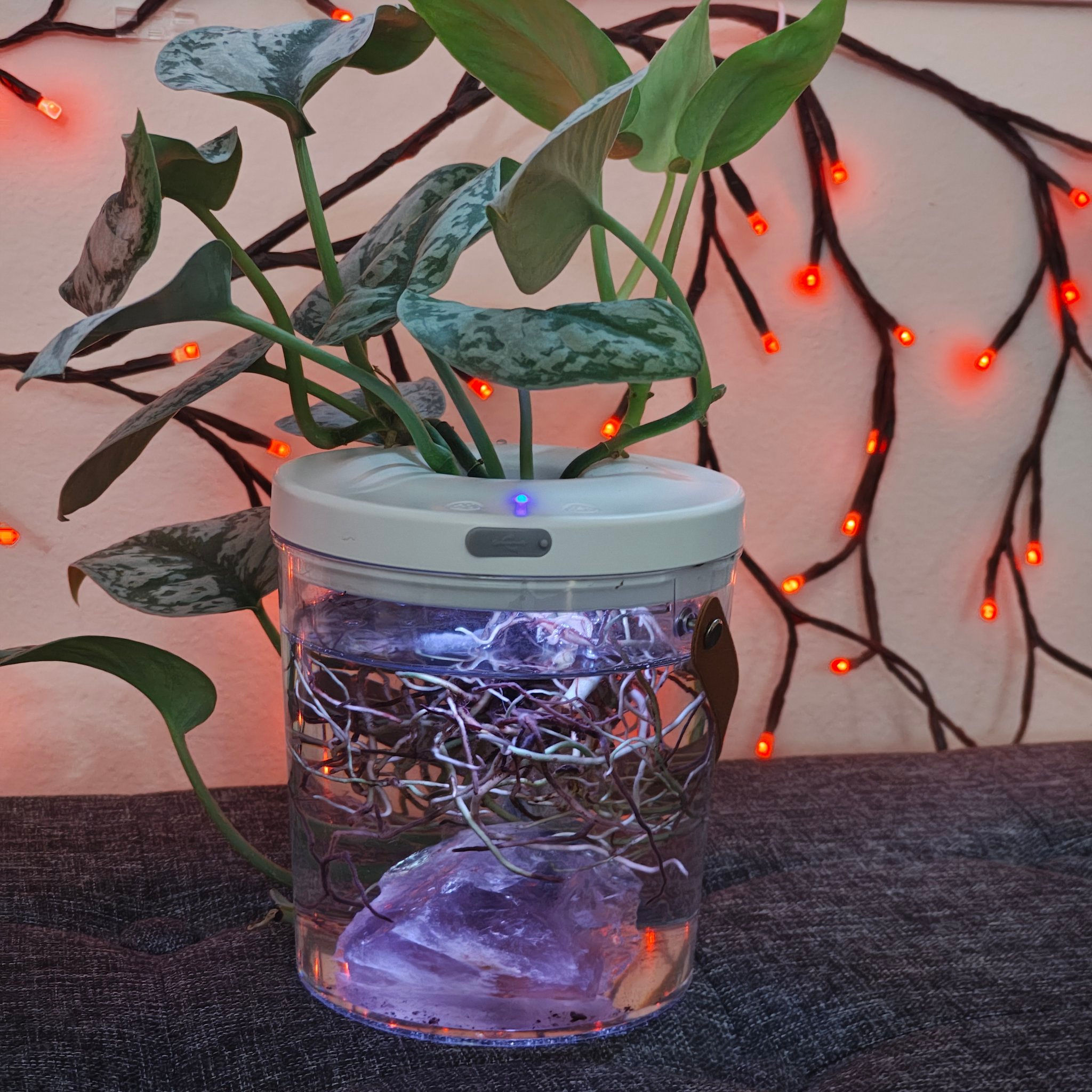 Portable Aquaponics or Crystal Display Container