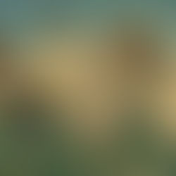 circle of friends in a grassy meadow, ai generated
