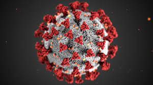 VIRUS.jpeg