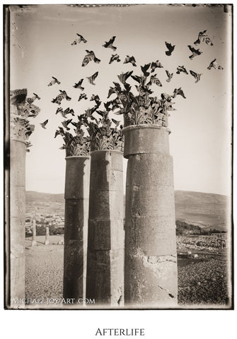 Birds perched atop ancient columns: Afterlife