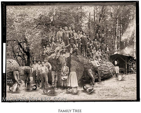 Large family group photo, "Family Tree", circa early 1900s, MichaelJoyArt