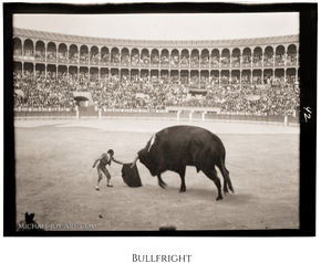 Bullfighter facing large bull in arena