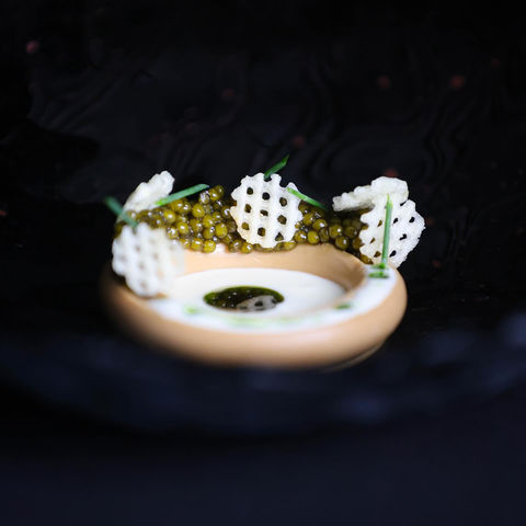 Gourmet dish with green caviar, crispy wafers, and a creamy sauce - Plated